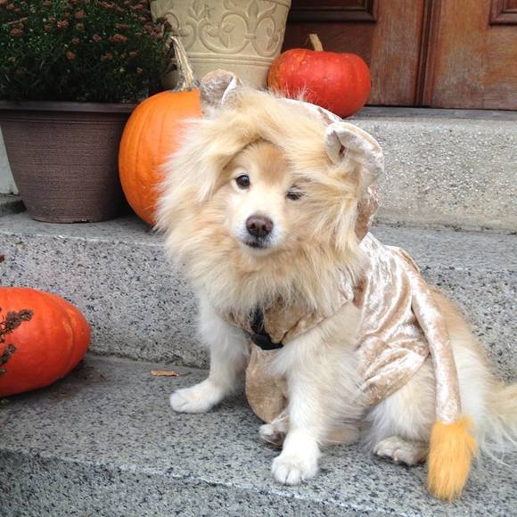 Meet your Posher, Andrea - Picture 1 of 1